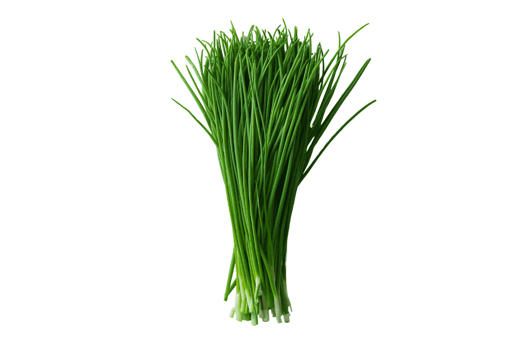 Fresh Chives Export