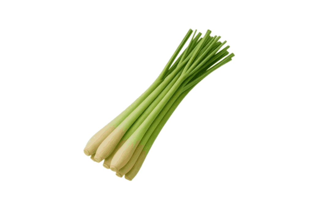 Fresh Lemongrass Export