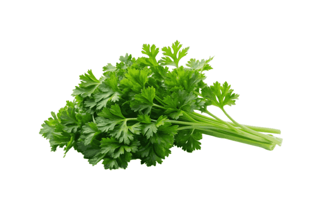 Fresh Parsley Export